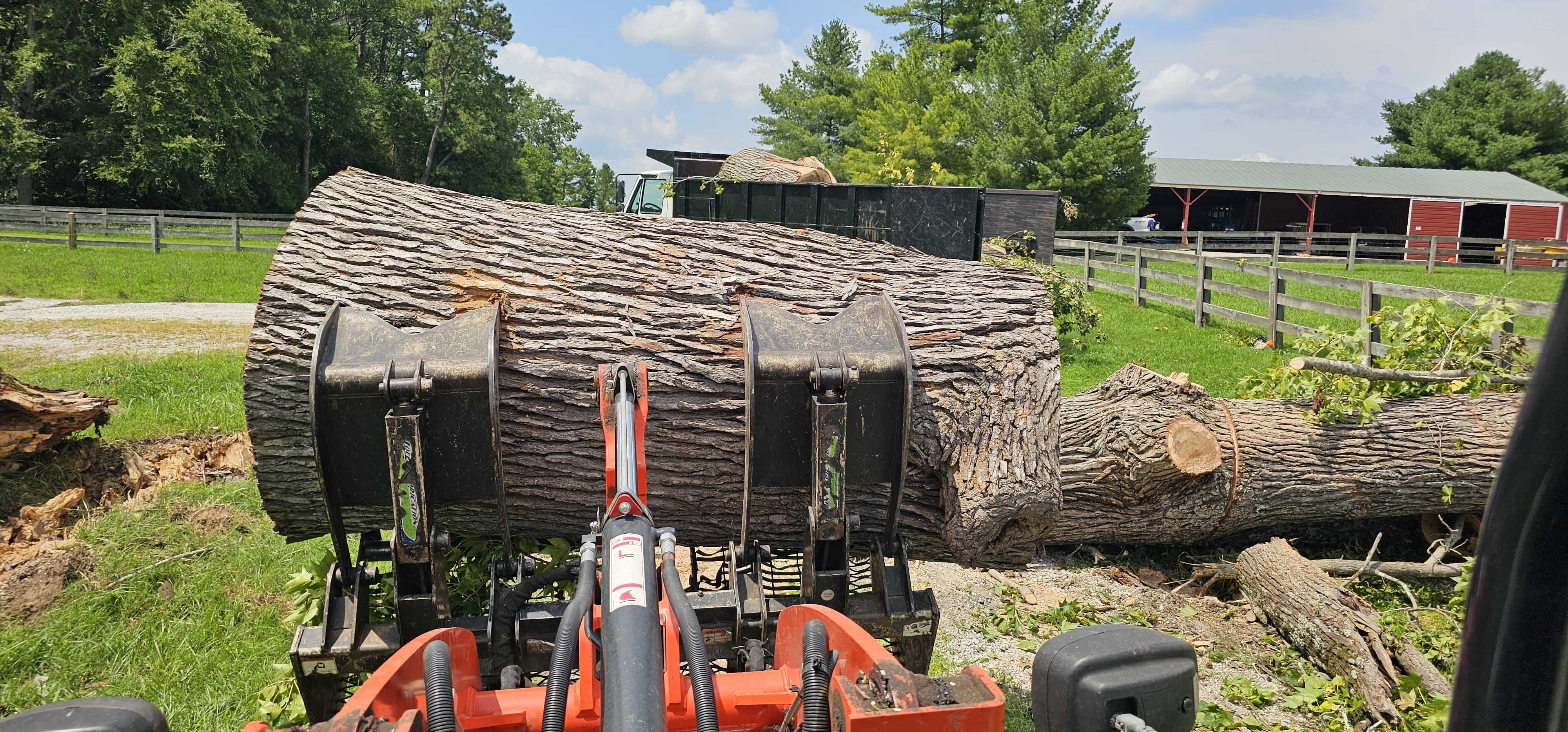 Large tree trunk being moved with equipment after removal